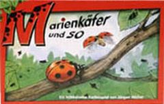 Marienkfer240